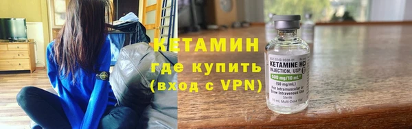 гидра Богородицк