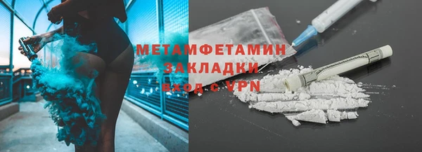 гидра Богородицк