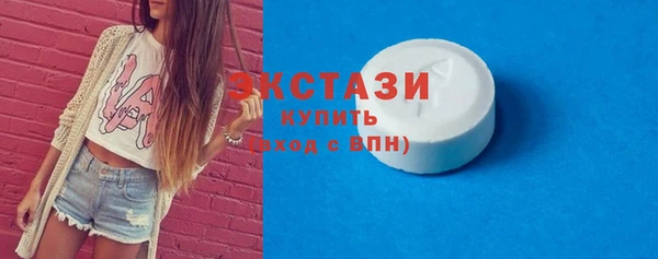гидра Богородицк