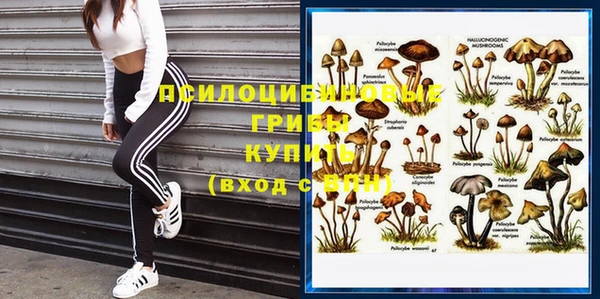 сатива Бугульма