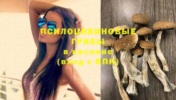 СК Богданович