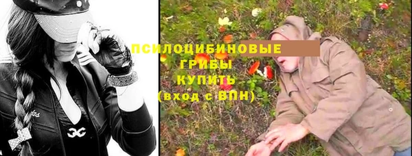 трава Бронницы