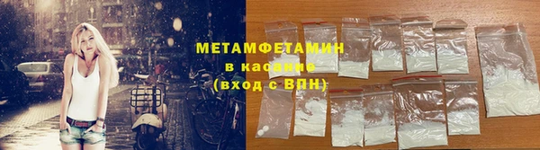 гидра Богородицк