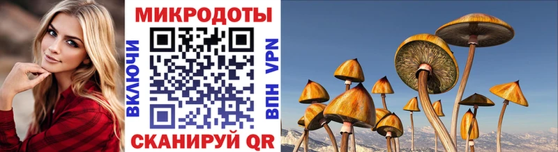 Галлюциногенные грибы мухоморы  Сердобск 