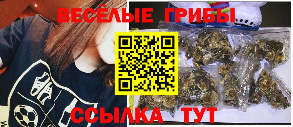 Псилоцибиновые грибы Cubensis  Вход с VPN  Галлюциногенные грибы Cubensis  Сердобск 