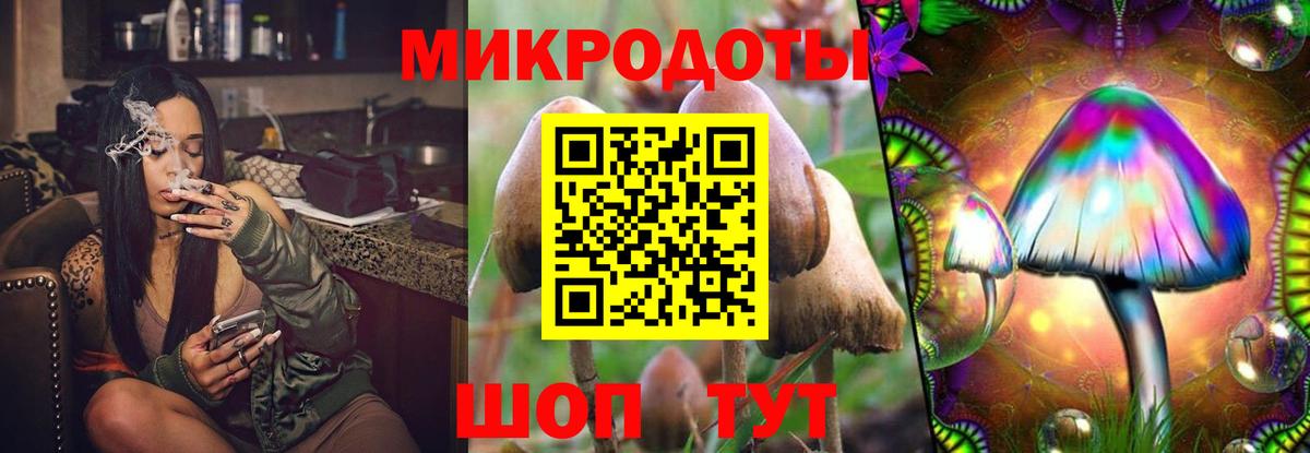 Псилоцибиновые грибы прущие грибы Сердобск